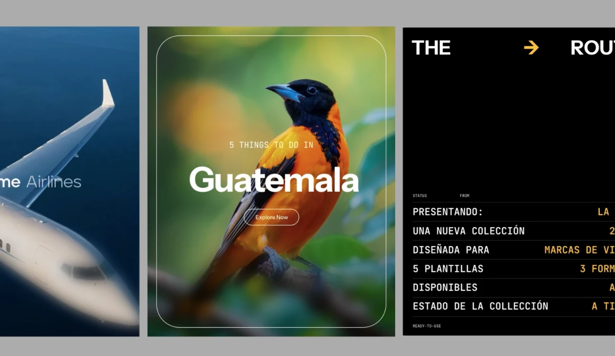 Kolekcja szablonów The Route i usprawnienia interfejsu - nowości Jitter grudzień 2025